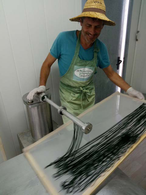 spiruline perigord production algue 5